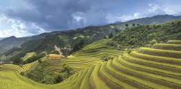 How farming spread globally in prehistoric times to supplant hunting and gathering